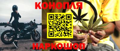прущие грибы Заволжье