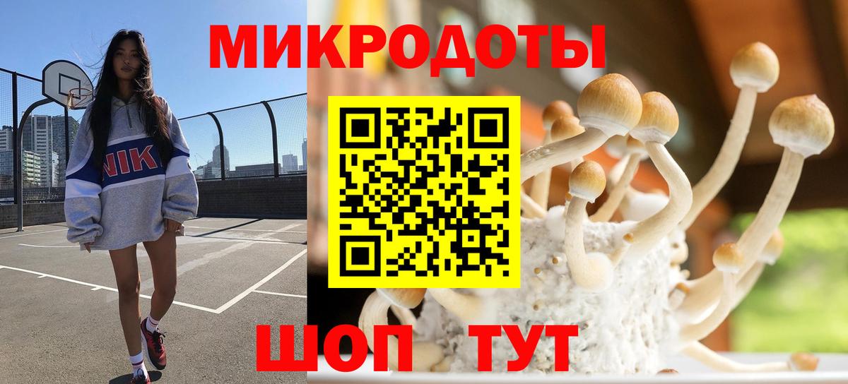 Псилоцибиновые грибы мухоморы Луга