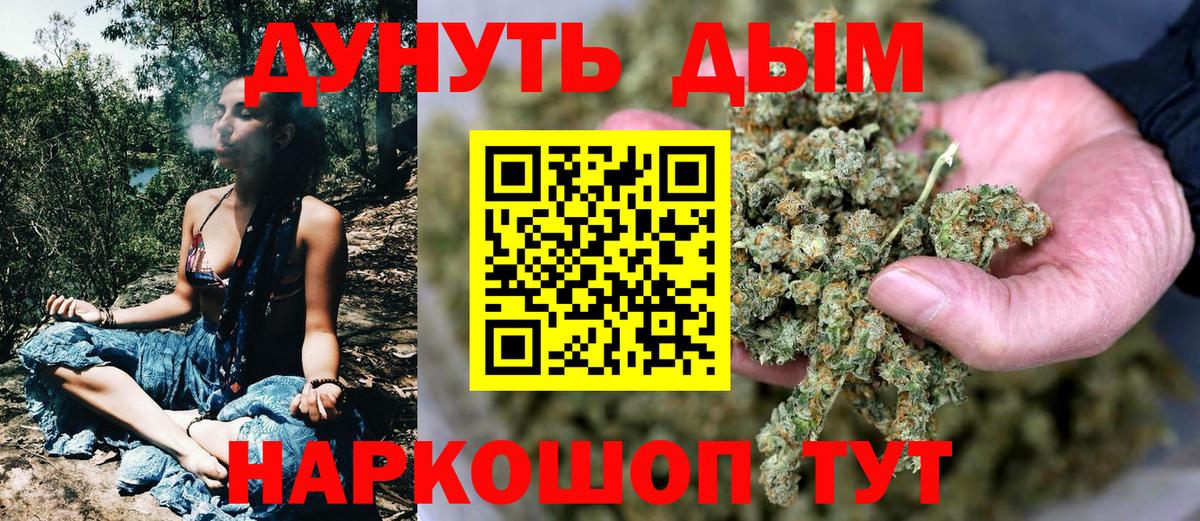Каннабис сатива Луга
